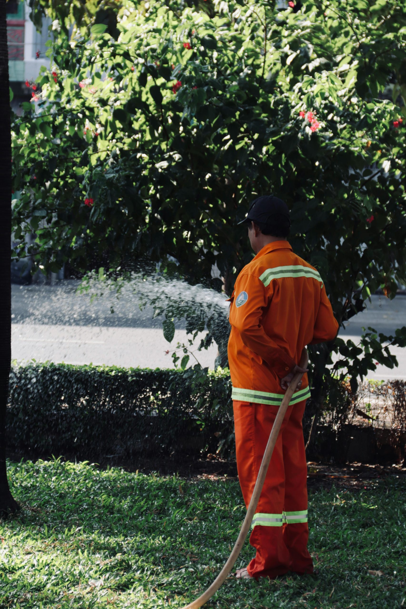 Firefighter in uniform watering green plants outdoors on a sunny day.